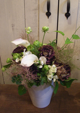 arrange_c6