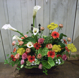 arrange_d2