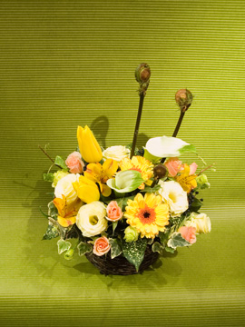 arrange_y6