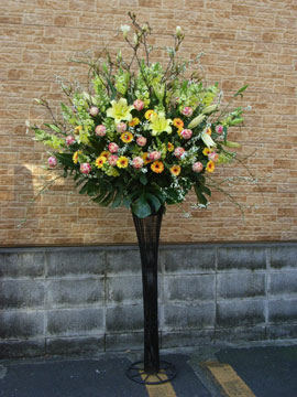 stand4