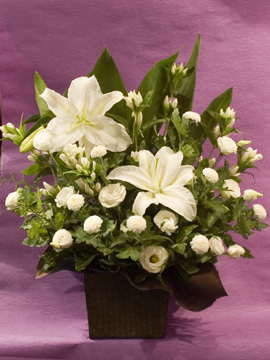 arrange_c7